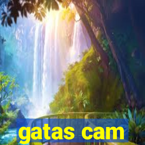 gatas cam